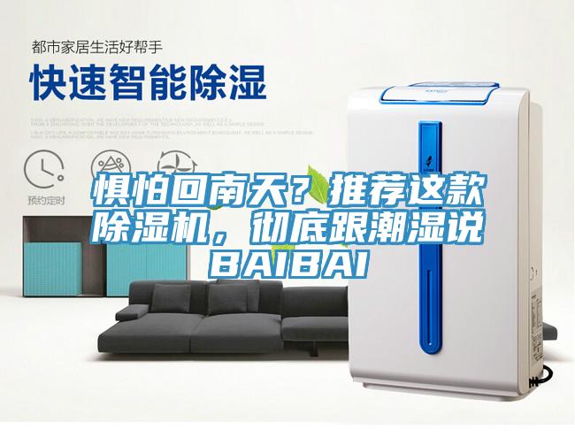 惧怕回南天？推荐这款除湿机，彻底跟潮湿说BAIBAI