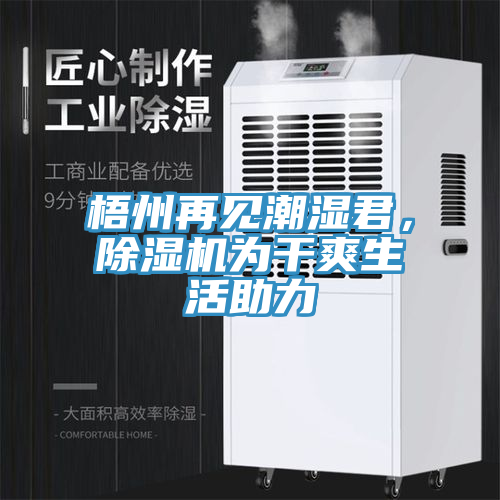 梧州再见潮湿君，除湿机为干爽生活助力