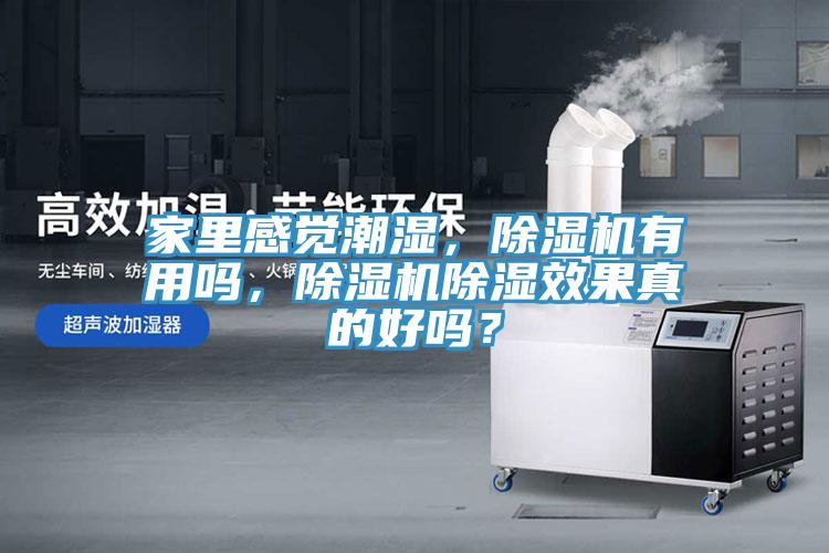 家里感觉潮湿，除湿机有用吗，除湿机除湿效果真的好吗？