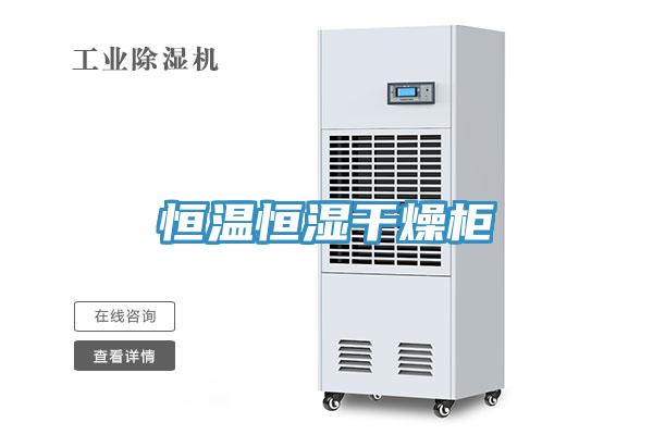 恒温恒湿干燥柜