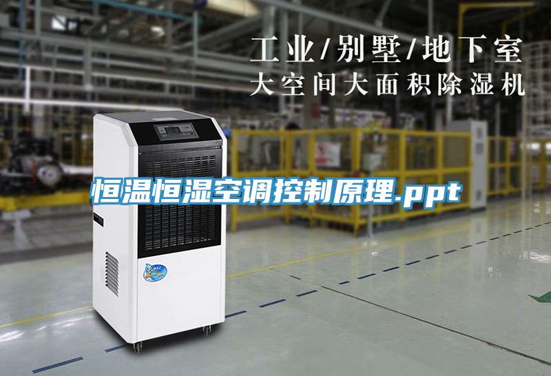 恒温恒湿空调控制原理.ppt