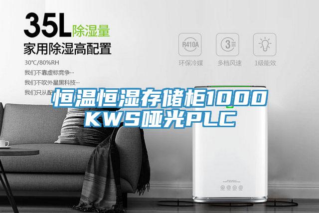 恒温恒湿存储柜1000KWS哑光PLC
