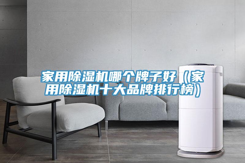 家用除湿机哪个牌子好（家用除湿机十大品牌排行榜）