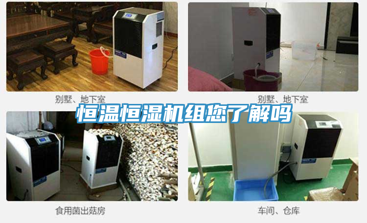 恒温恒湿机组您了解吗