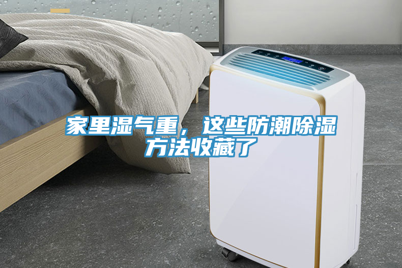 家里湿气重，这些防潮除湿方法收藏了