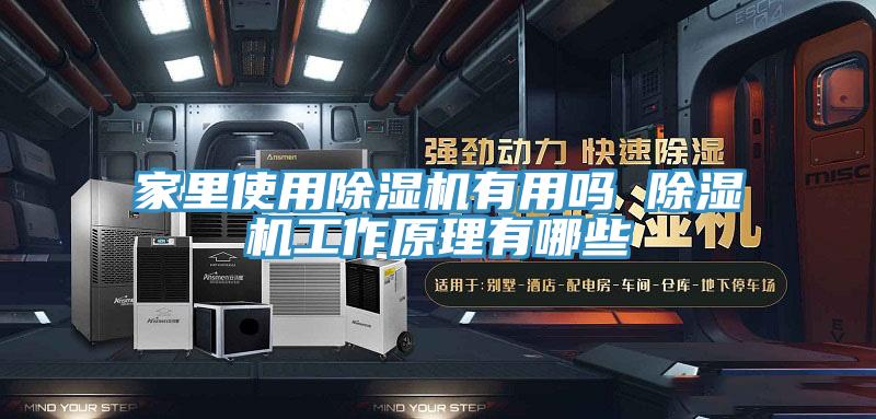 家里使用除湿机有用吗 除湿机工作原理有哪些