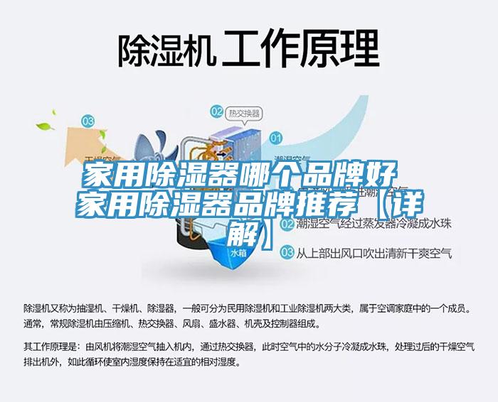 家用除湿器哪个品牌好 家用除湿器品牌推荐【详解】