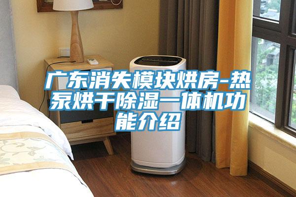广东消失模块烘房-热泵烘干除湿一体机功能介绍