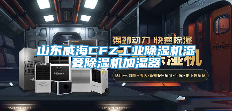 山东威海CFZ工业除湿机湿菱除湿机加湿器
