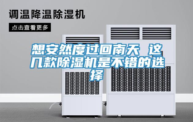 想安然度过回南天 这几款除湿机是不错的选择