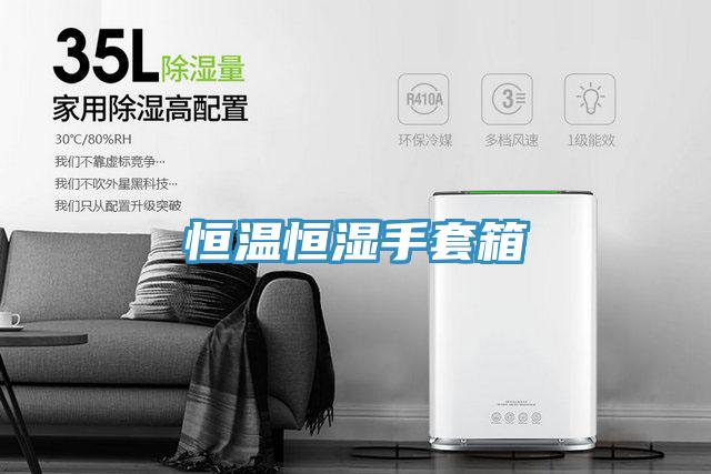 恒温恒湿手套箱