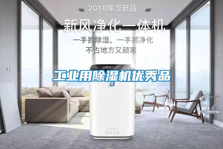 工业用除湿机优秀品