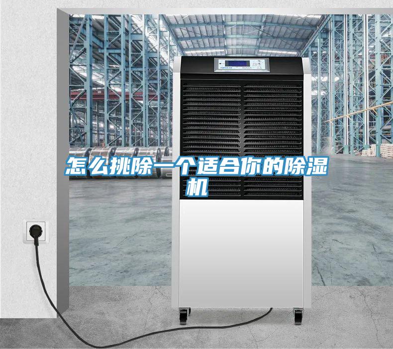 怎么挑除一个适合你的除湿机