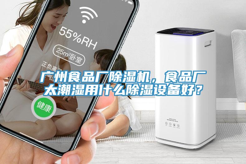广州食品厂除湿机，食品厂太潮湿用什么除湿设备好？