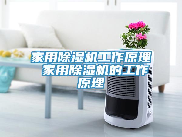家用除湿机工作原理 家用除湿机的工作原理