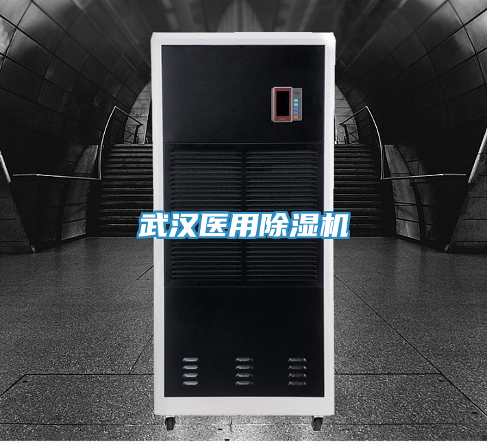 武汉医用除湿机
