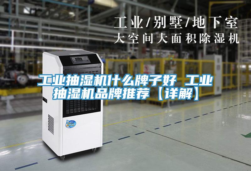 工业抽湿机什么牌子好 工业抽湿机品牌推荐【详解】