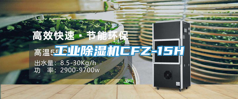 工业除湿机CFZ-15H