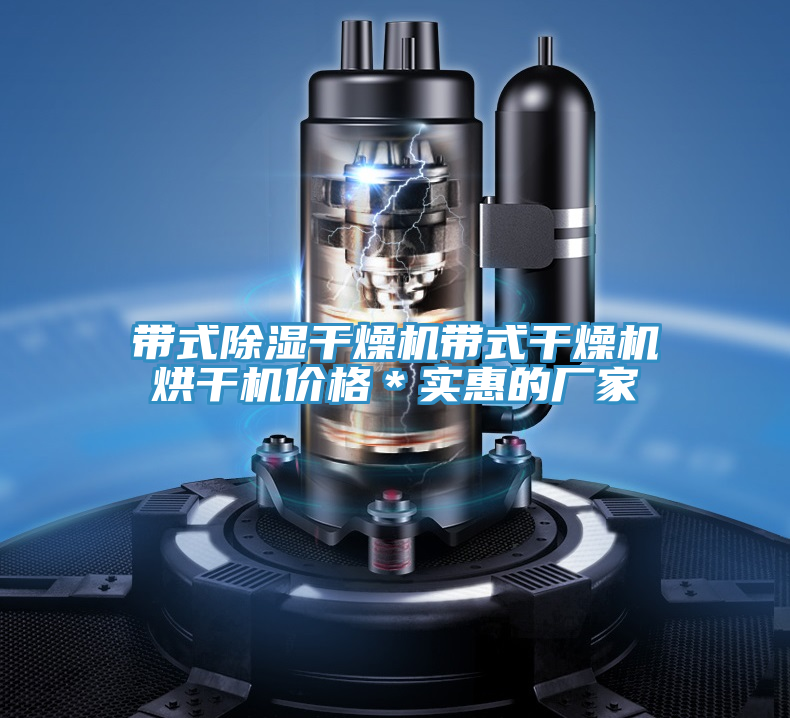 带式除湿干燥机带式干燥机烘干机价格＊实惠的厂家