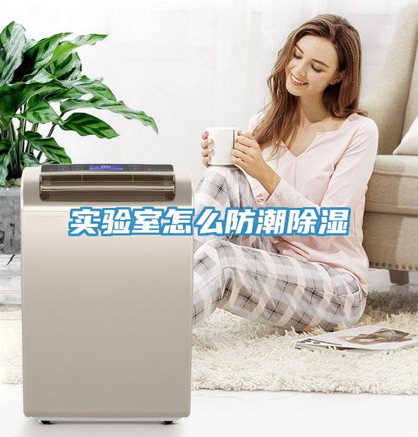 实验室怎么防潮除湿
