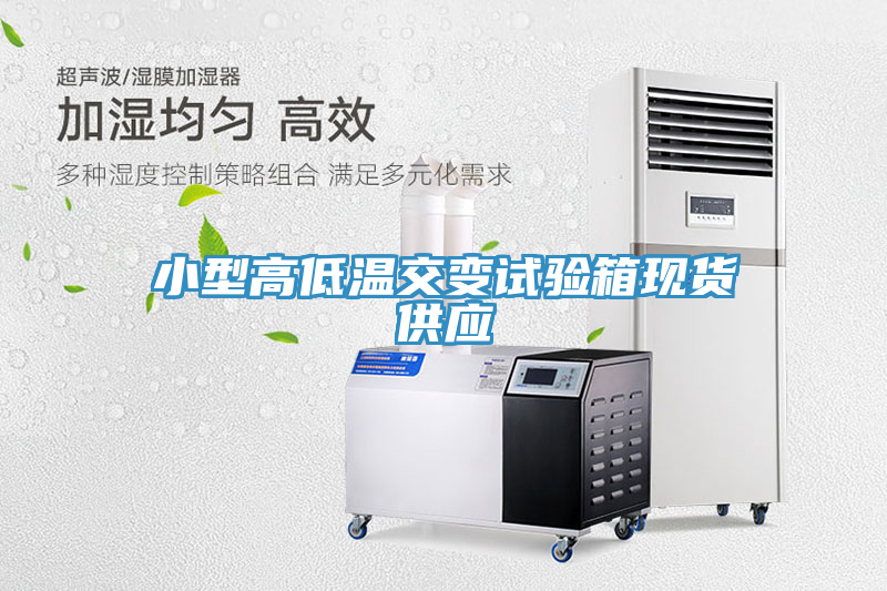 小型高低温交变试验箱现货供应
