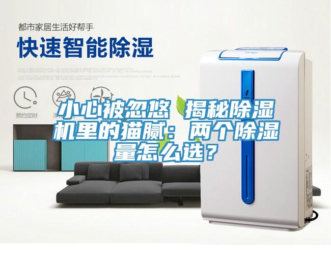 小心被忽悠 揭秘除湿机里的猫腻：两个除湿量怎么选？