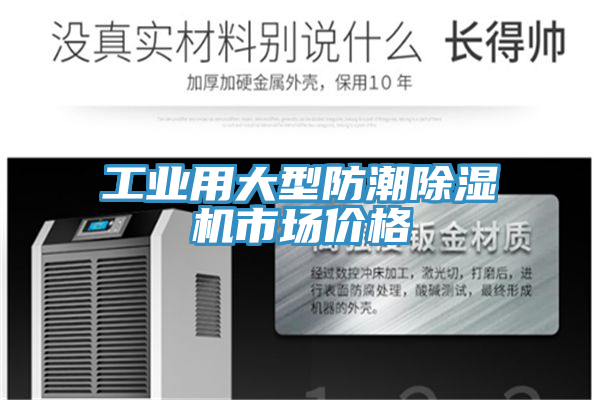 工业用大型防潮除湿机市场价格