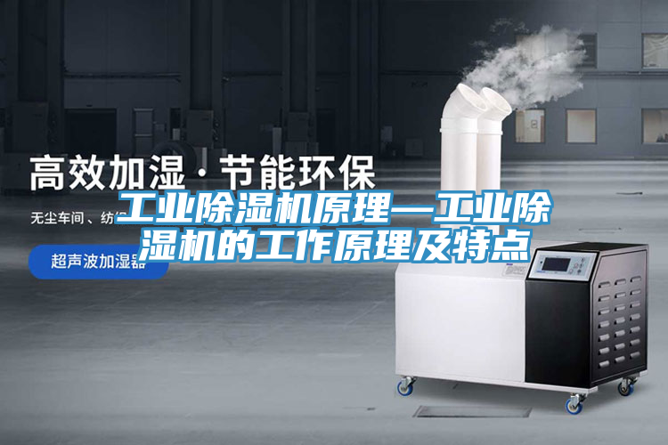 工业除湿机原理—工业除湿机的工作原理及特点