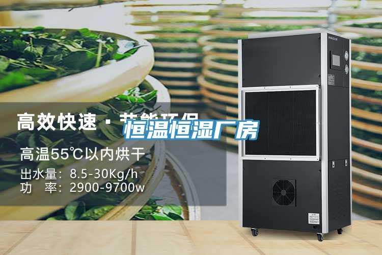 恒温恒湿厂房