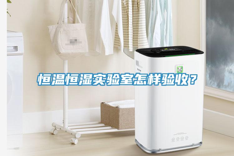 恒温恒湿实验室怎样验收？