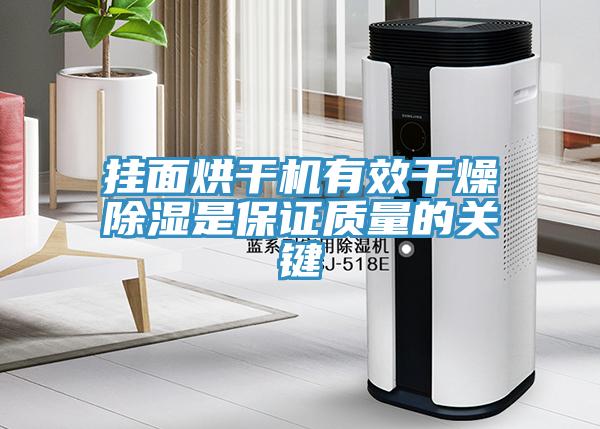 挂面烘干机有效干燥除湿是保证质量的关键