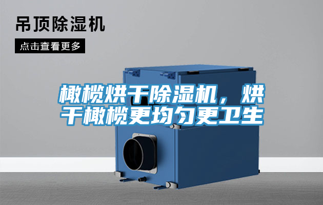 橄榄烘干除湿机，烘干橄榄更均匀更卫生