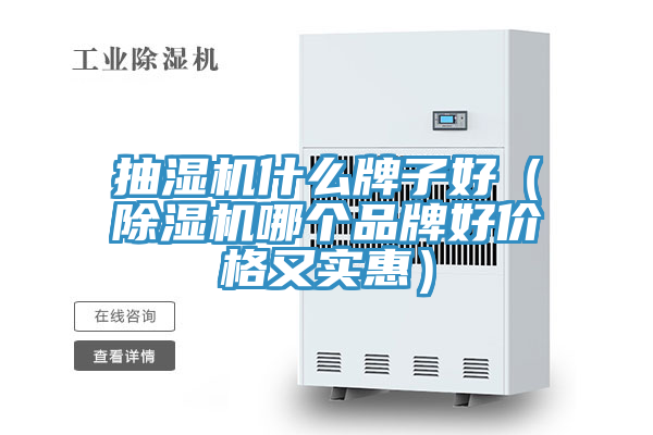 抽湿机什么牌子好（除湿机哪个品牌好价格又实惠）