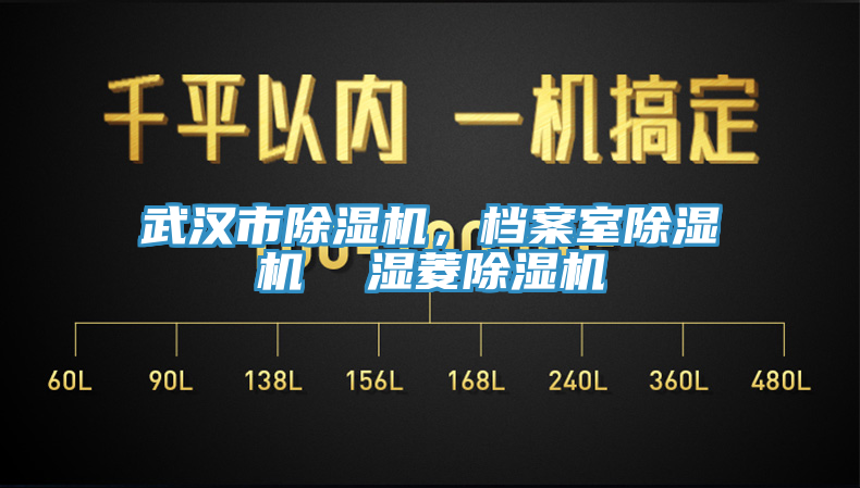 武汉市除湿机，档案室除湿机  湿菱除湿机