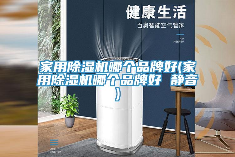 家用除湿机哪个品牌好(家用除湿机哪个品牌好 静音)