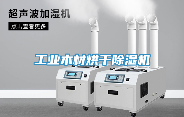 工业木材烘干除湿机
