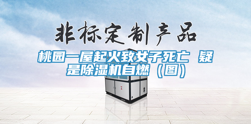 桃园一屋起火致女子死亡 疑是除湿机自燃（图）