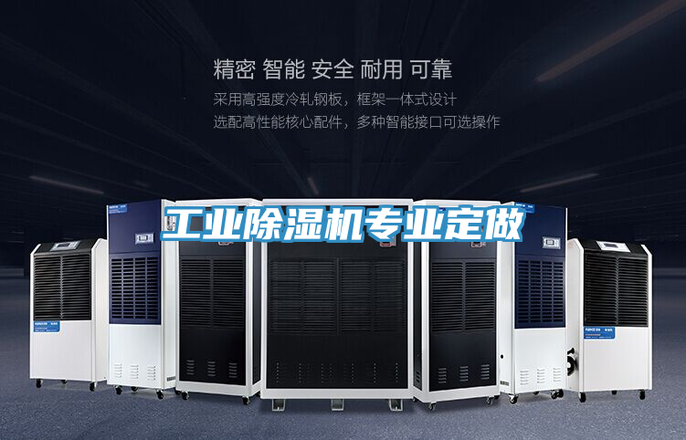 工业除湿机专业定做