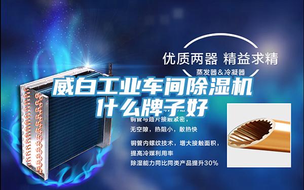 威白工业车间除湿机什么牌子好