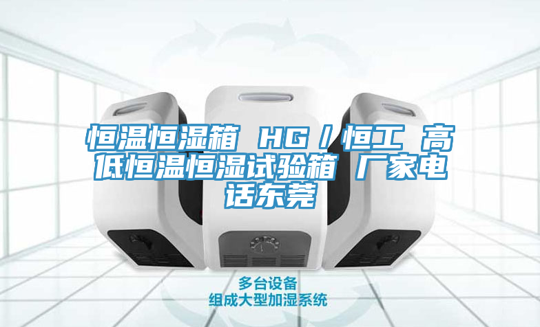 恒温恒湿箱 HG／恒工 高低恒温恒湿试验箱 厂家电话东莞