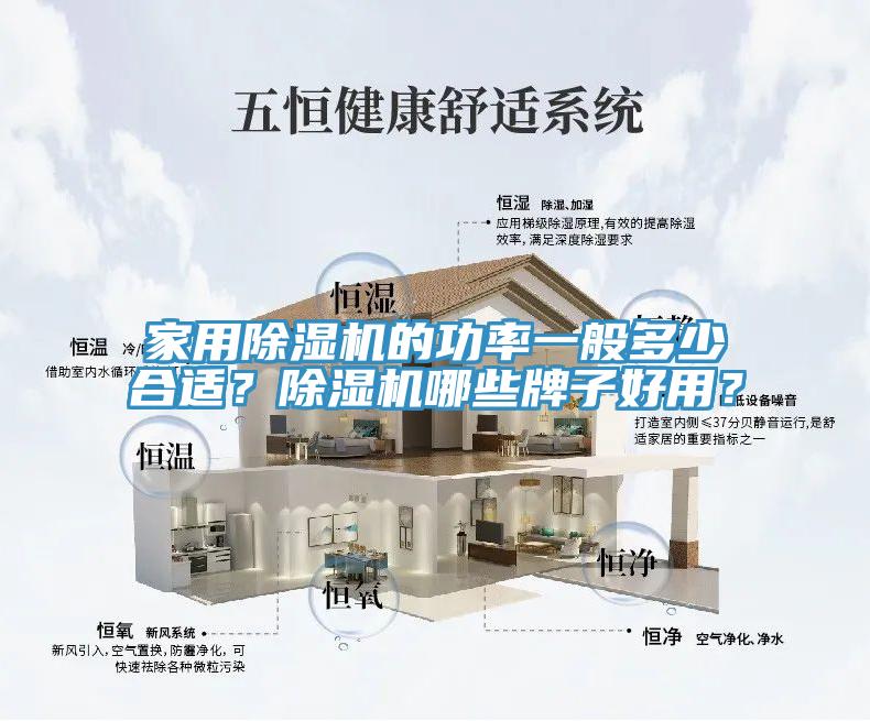 家用除湿机的功率一般多少合适？除湿机哪些牌子好用？