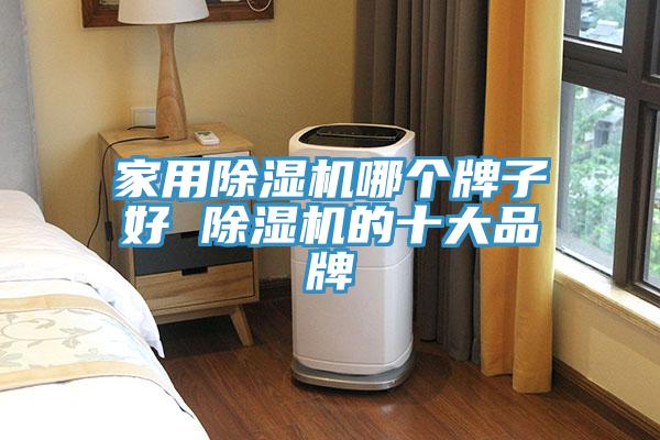 家用除湿机哪个牌子好 除湿机的十大品牌