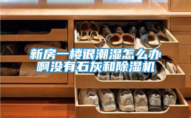 新房一楼很潮湿怎么办啊没有石灰和除湿机