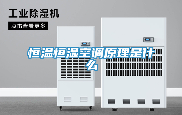 恒温恒湿空调原理是什么