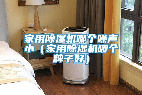 家用除湿机哪个噪声小（家用除湿机哪个牌子好）