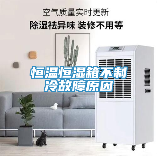 恒温恒湿箱不制冷故障原因