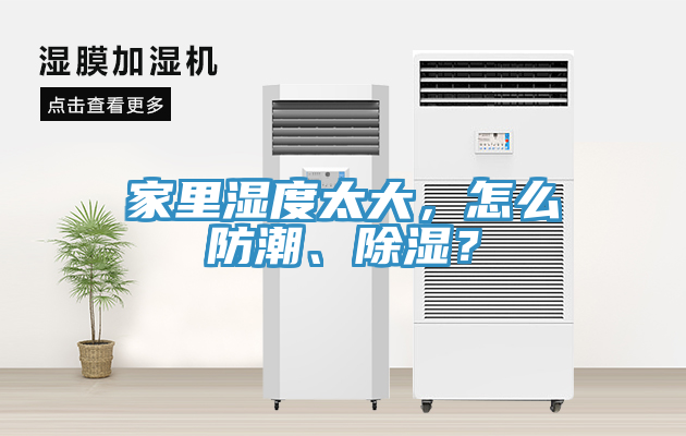 家里湿度太大，怎么防潮、除湿？