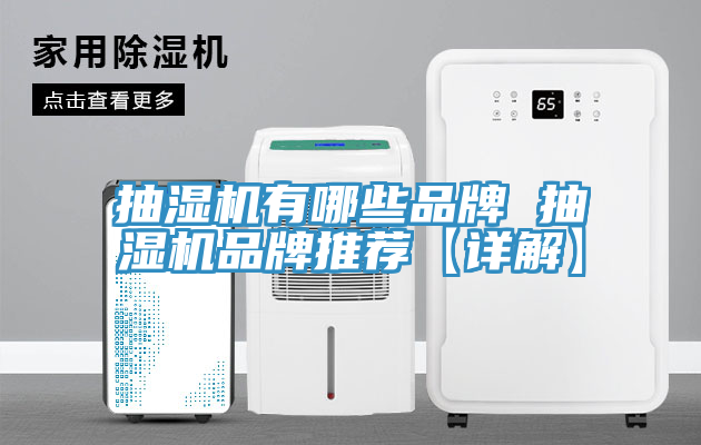 抽湿机有哪些品牌 抽湿机品牌推荐【详解】