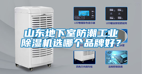 山东地下室防潮工业除湿机选哪个品牌好？