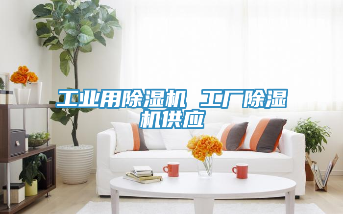 工业用除湿机 工厂除湿机供应